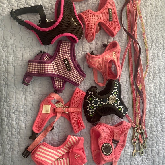 Collection of Items for Toy Sized Dog - Picture 2 of 2